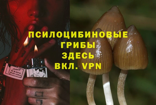 PSILOCYBIN Арсеньев