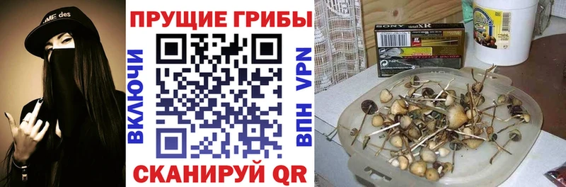 что такое Цоци-Юрт Галлюциногенные грибы мухоморы