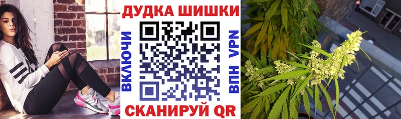 купить наркотики цена  Цоци-Юрт  Канабис сатива 